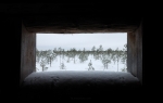 loodusfoto