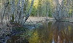 loodusfoto
