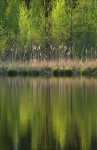 loodusfoto