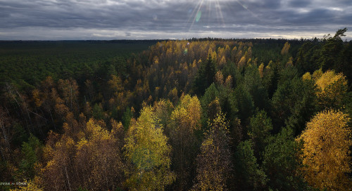 Veidike valgust ja värve