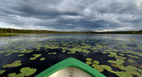 Meelva järv