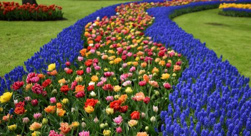 Keukenhof lilleaed