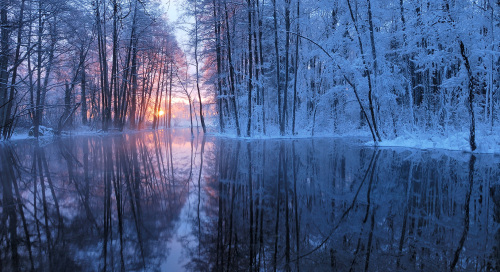 Talve võlumaa