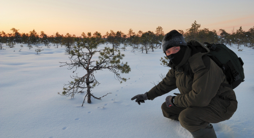 Autor Endla rabas -20C