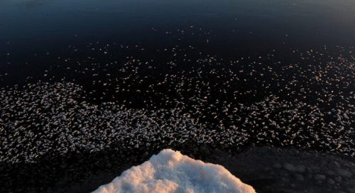 Jää ja lumi