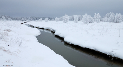 Härmas maa