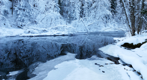 Talvine Taevaskoja