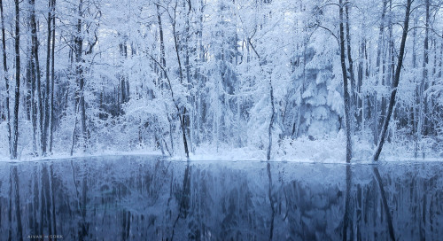 Talve võlumaa