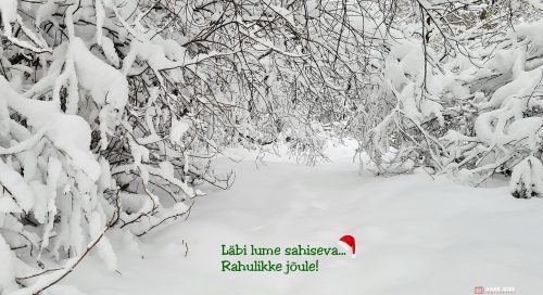 Rahulikke ja lumiseid jõule!